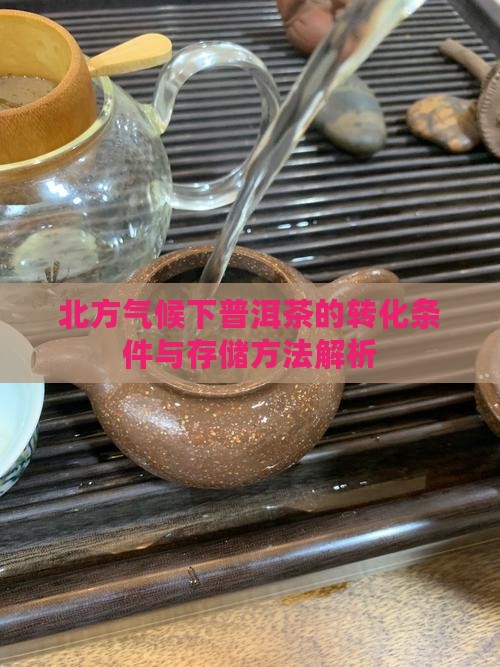 北方气候下普洱茶的转化条件与存储方法解析