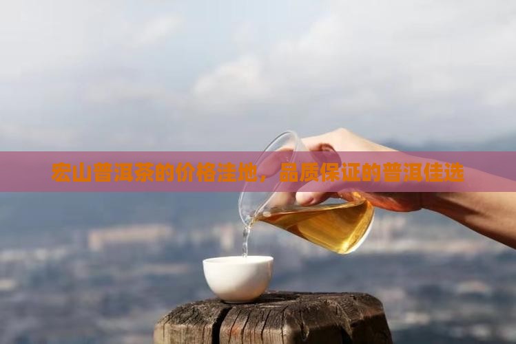 宏山普洱茶的价格洼地，品质保证的普洱佳选