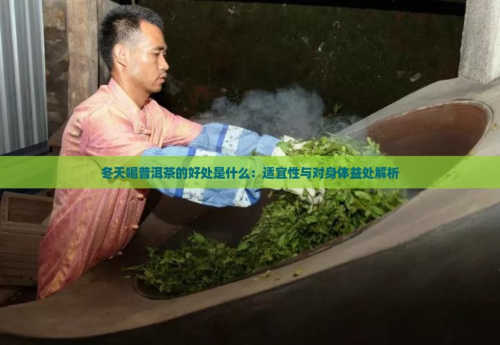 冬天喝普洱茶的好处是什么：适宜性与对身体益处解析