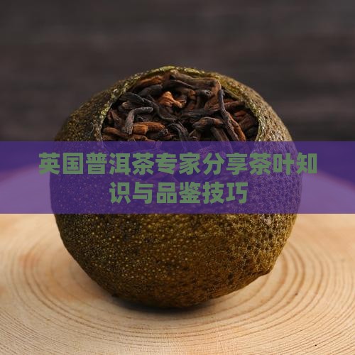 英国普洱茶专家分享茶叶知识与品鉴技巧