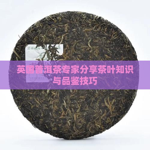英国普洱茶专家分享茶叶知识与品鉴技巧