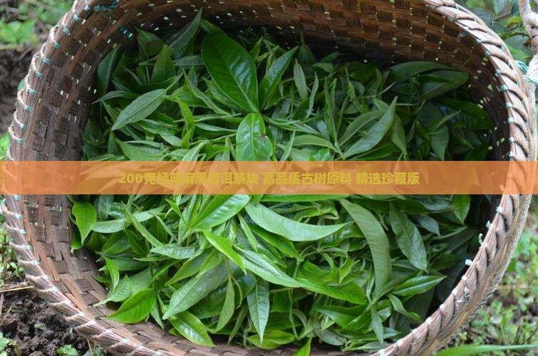 200克经典麻黑普洱茶块 高品质古树原料 精选珍藏版