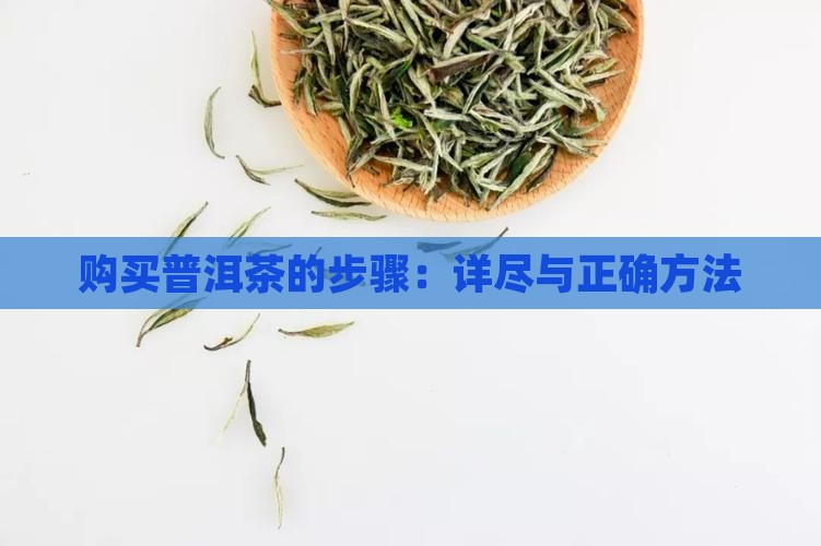 购买普洱茶的步骤：详尽与正确方法