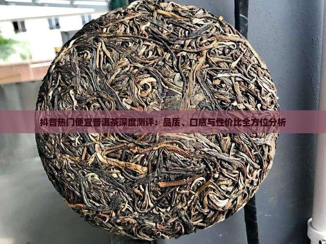 抖音热门便宜普洱茶深度测评：品质、口感与性价比全方位分析