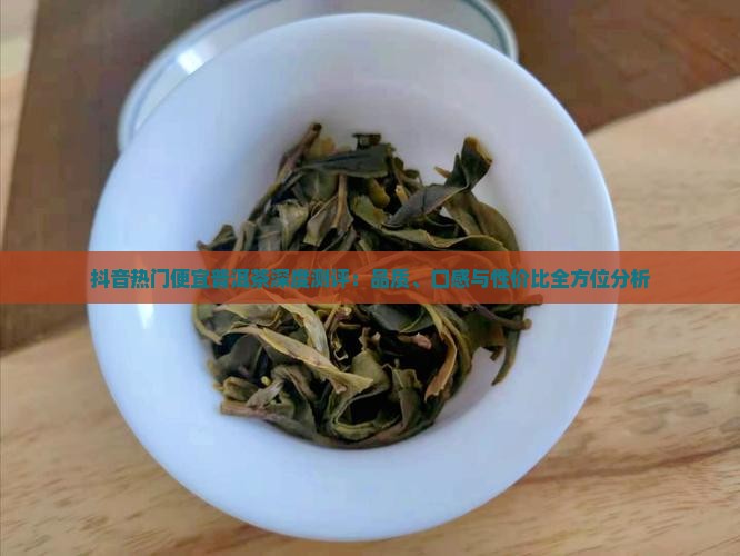 抖音热门便宜普洱茶深度测评：品质、口感与性价比全方位分析