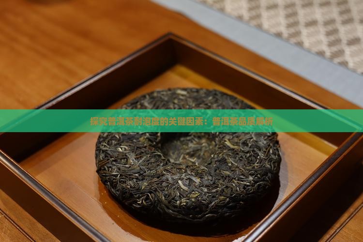 探究普洱茶耐泡度的关键因素：普洱茶品质解析