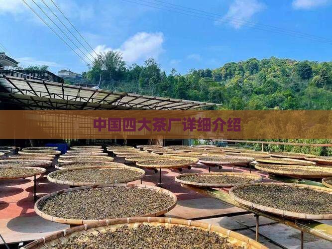 中国四大茶厂详细介绍