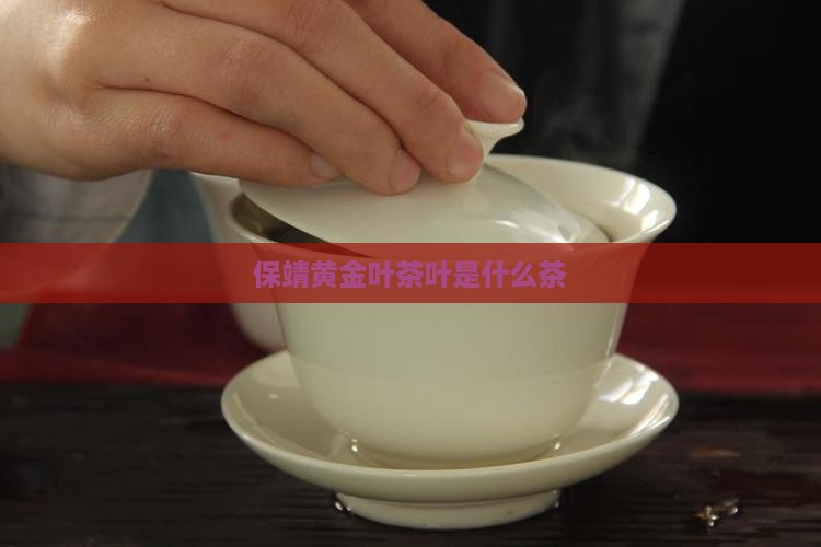 保靖黄金叶茶叶是什么茶