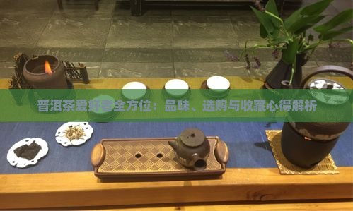 普洱茶爱好者全方位：品味、选购与收藏心得解析