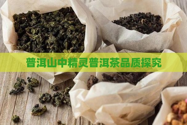 普洱山中精灵普洱茶品质探究