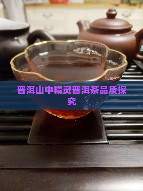 普洱山中精灵普洱茶品质探究