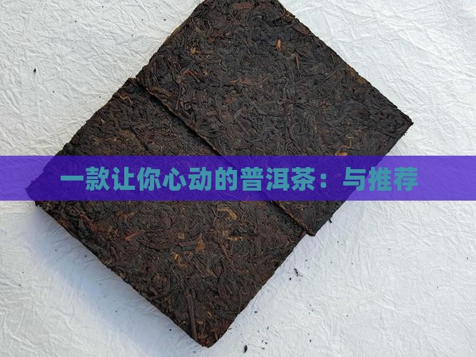一款让你心动的普洱茶：与推荐
