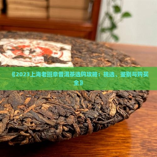 《2023上海老班章普洱茶选购攻略：挑选、鉴别与购买全》