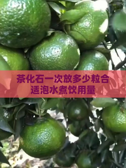 茶化石一次放多少粒合适泡水煮饮用量