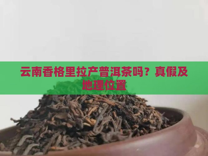 云南香格里拉产普洱茶吗？真假及地理位置