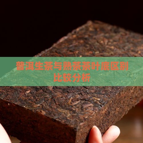 普洱生茶与熟茶茶叶底区别比较分析