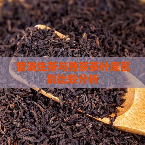 普洱生茶与熟茶茶叶底区别比较分析