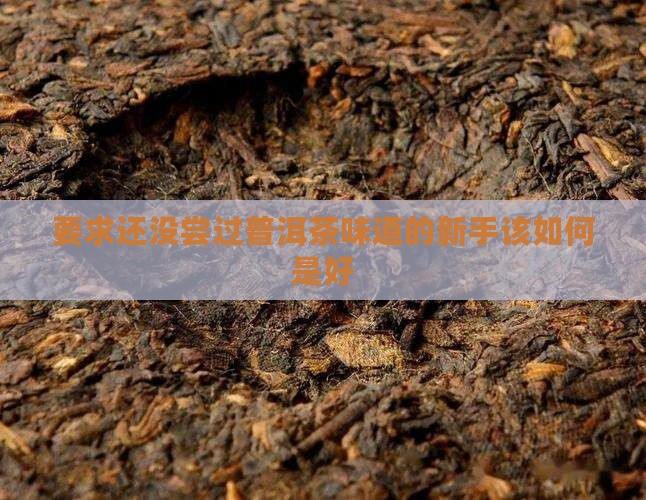 要求还没尝过普洱茶味道的新手该如何是好