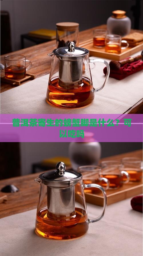 普洱茶寄生的螃蟹脚是什么？可以吃吗