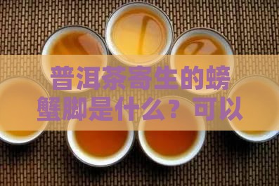 普洱茶寄生的螃蟹脚是什么？可以吃吗