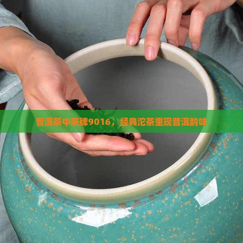 普洱茶中茶牌9016，经典沱茶重现普洱韵味