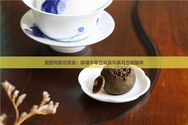 龙园号骡马贡茶：探寻千年古树茶与茶马古道秘辛