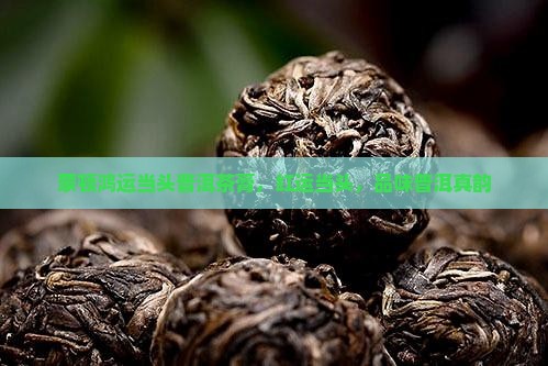 蒙顿鸿运当头普洱茶膏，红运当头，品味普洱真韵
