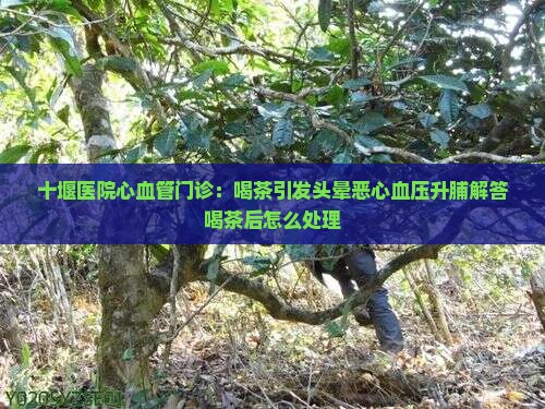 十堰医院心血管门诊：喝茶引发头晕恶心血压升脯解答喝茶后怎么处理