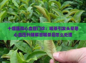十堰医院心血管门诊：喝茶引发头晕恶心血压升脯解答喝茶后怎么处理