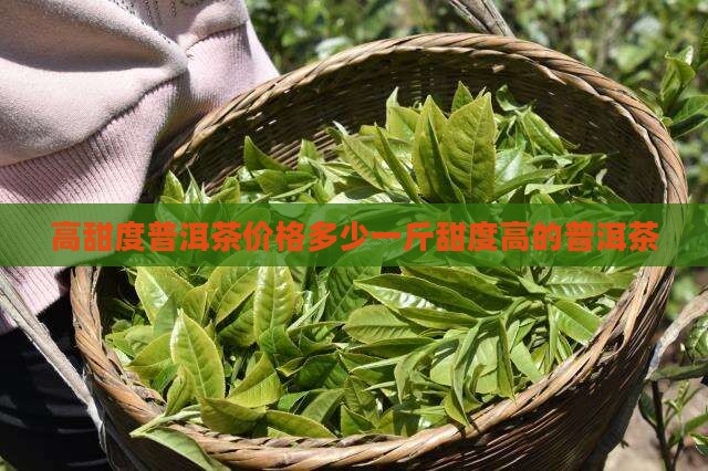 高甜度普洱茶价格多少一斤甜度高的普洱茶