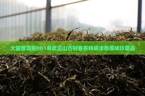大益普洱茶001易武正山古树春茶特级浓香厚味珍藏品