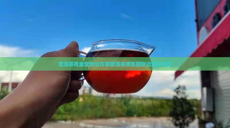 普洱茶苑食堂地址在哪普洱茶博览园附近酒店电话