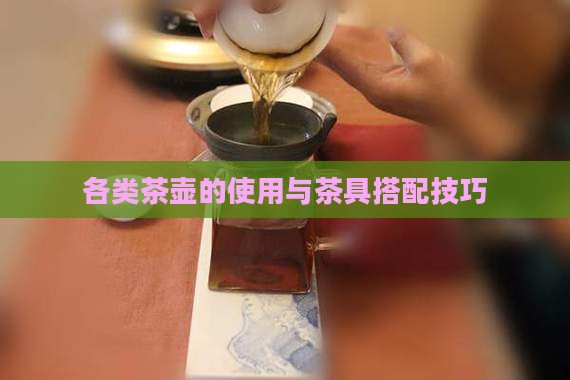 各类茶壶的使用与茶具搭配技巧