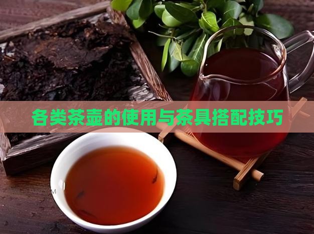 各类茶壶的使用与茶具搭配技巧