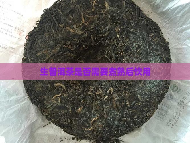 生普洱茶是否需要煮熟后饮用
