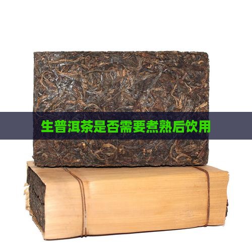 生普洱茶是否需要煮熟后饮用