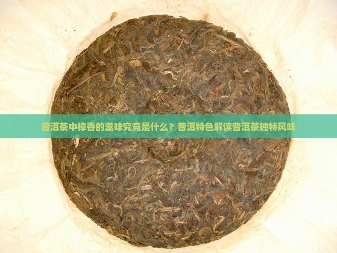 普洱茶中樟香的滋味究竟是什么？普洱特色解读普洱茶独特风味