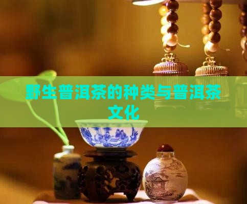 野生普洱茶的种类与普洱茶文化