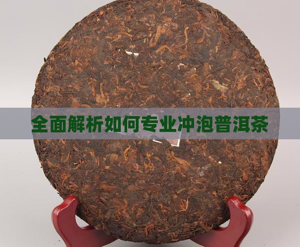 全面解析如何专业冲泡普洱茶