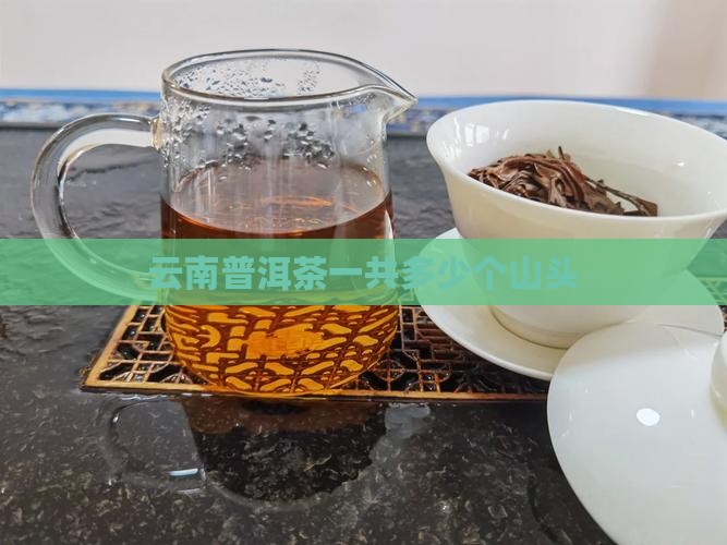 云南普洱茶一共多少个山头