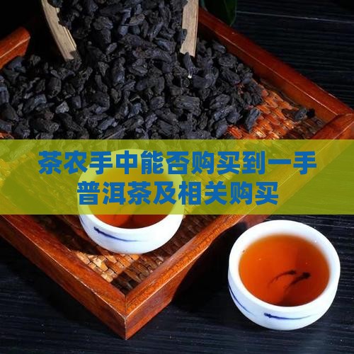 茶农手中能否购买到一手普洱茶及相关购买