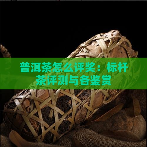 普洱茶怎么评奖：标杆茶评测与各鉴赏