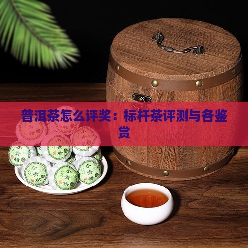 普洱茶怎么评奖：标杆茶评测与各鉴赏