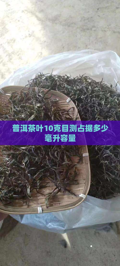 普洱茶叶10克目测占据多少毫升容量