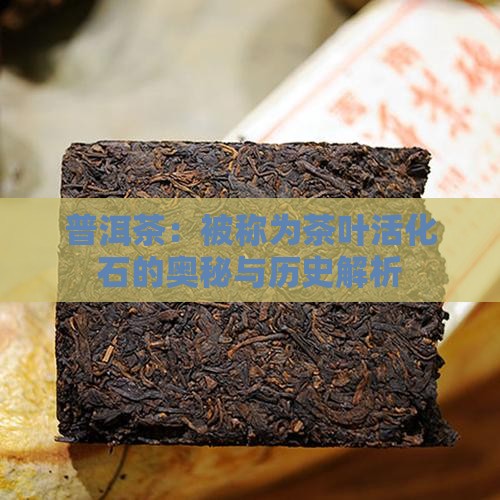 普洱茶：被称为茶叶活化石的奥秘与历史解析