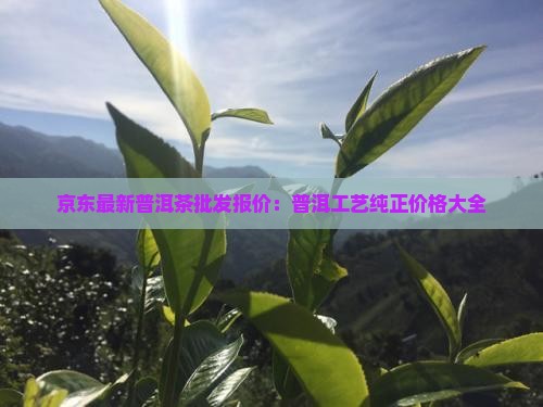 京东最新普洱茶批发报价：普洱工艺纯正价格大全