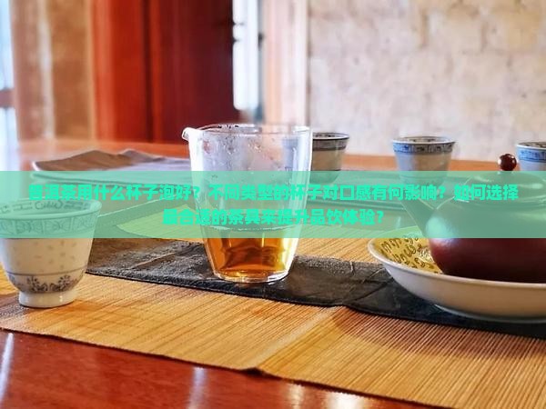 普洱茶泡什么杯子好呢