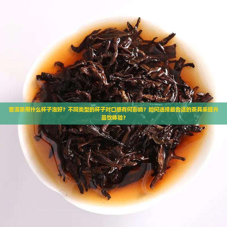 普洱茶泡什么杯子好呢