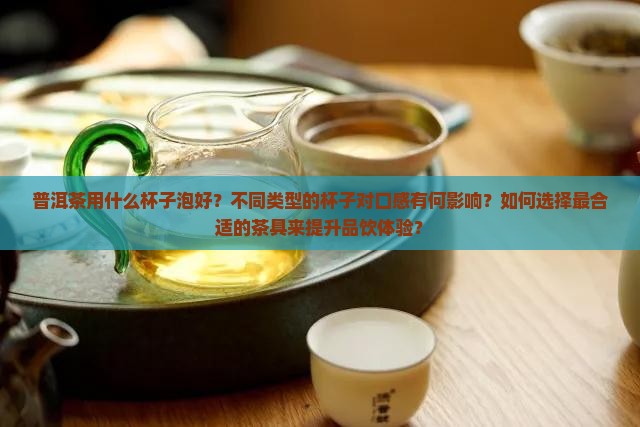 普洱茶泡什么杯子好呢
