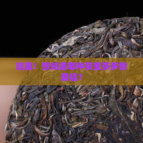 哪种茶含茶多酚